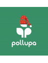 Pollupa