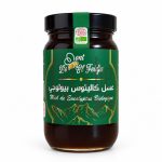 Miel d'eucalyptus bio El Feidja